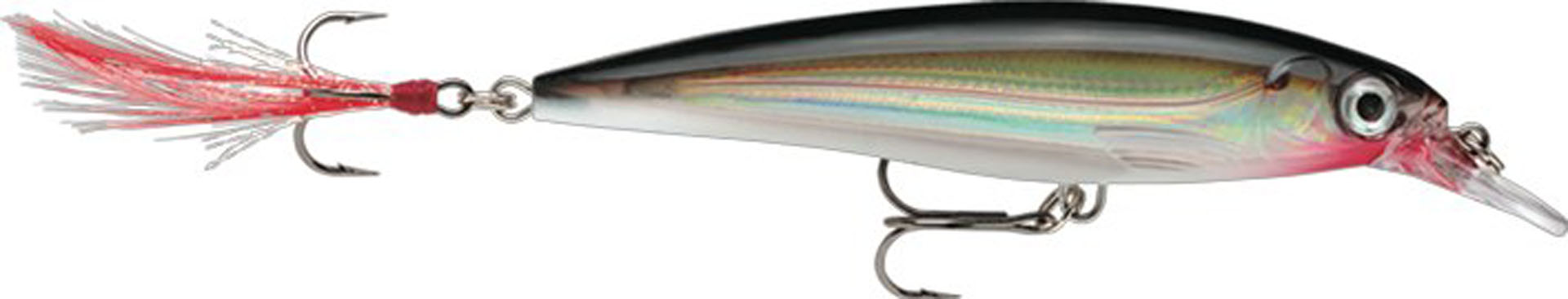 Picture of X-RAP XR06 S