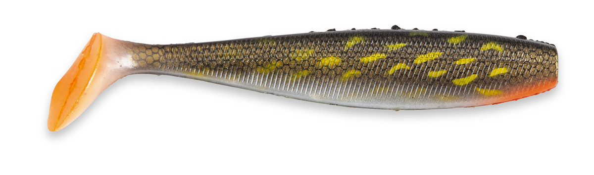 Picture of Just Shad