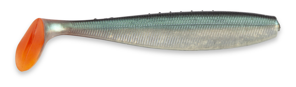 Picture of Just Shad