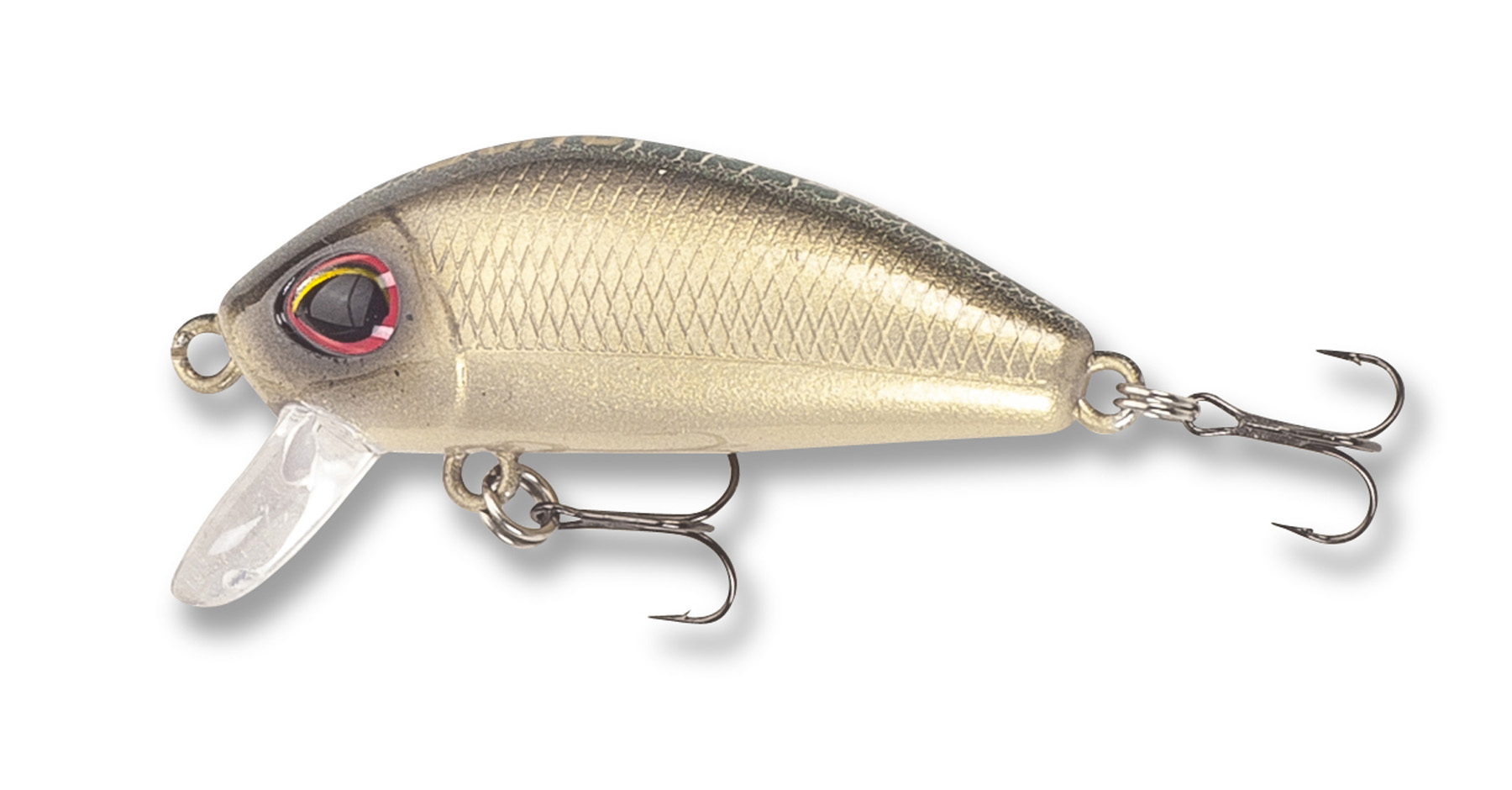 Picture of Risu 44 WFG
