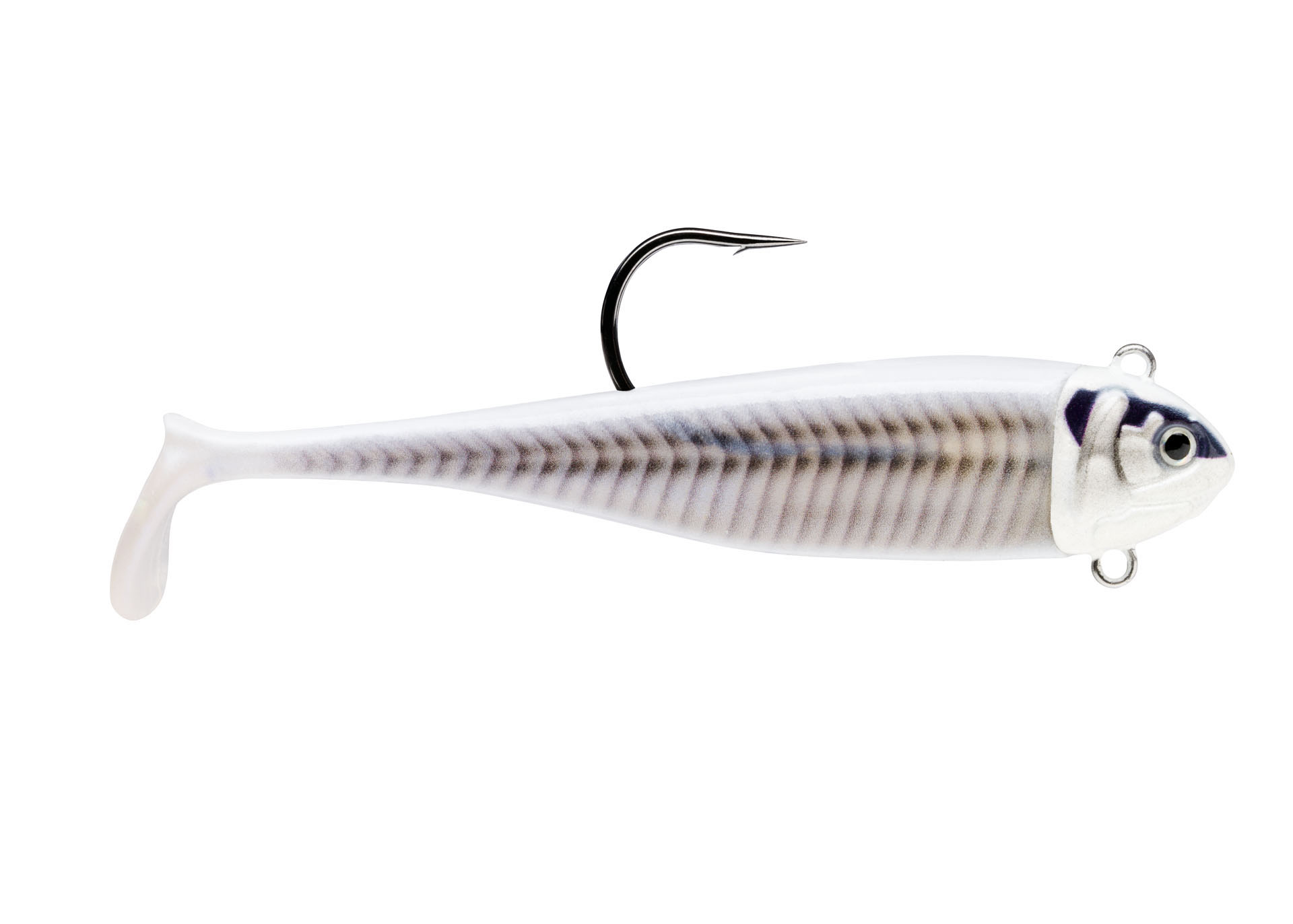 Immagine di BISCAY MINNOW 12-16G WPRLS