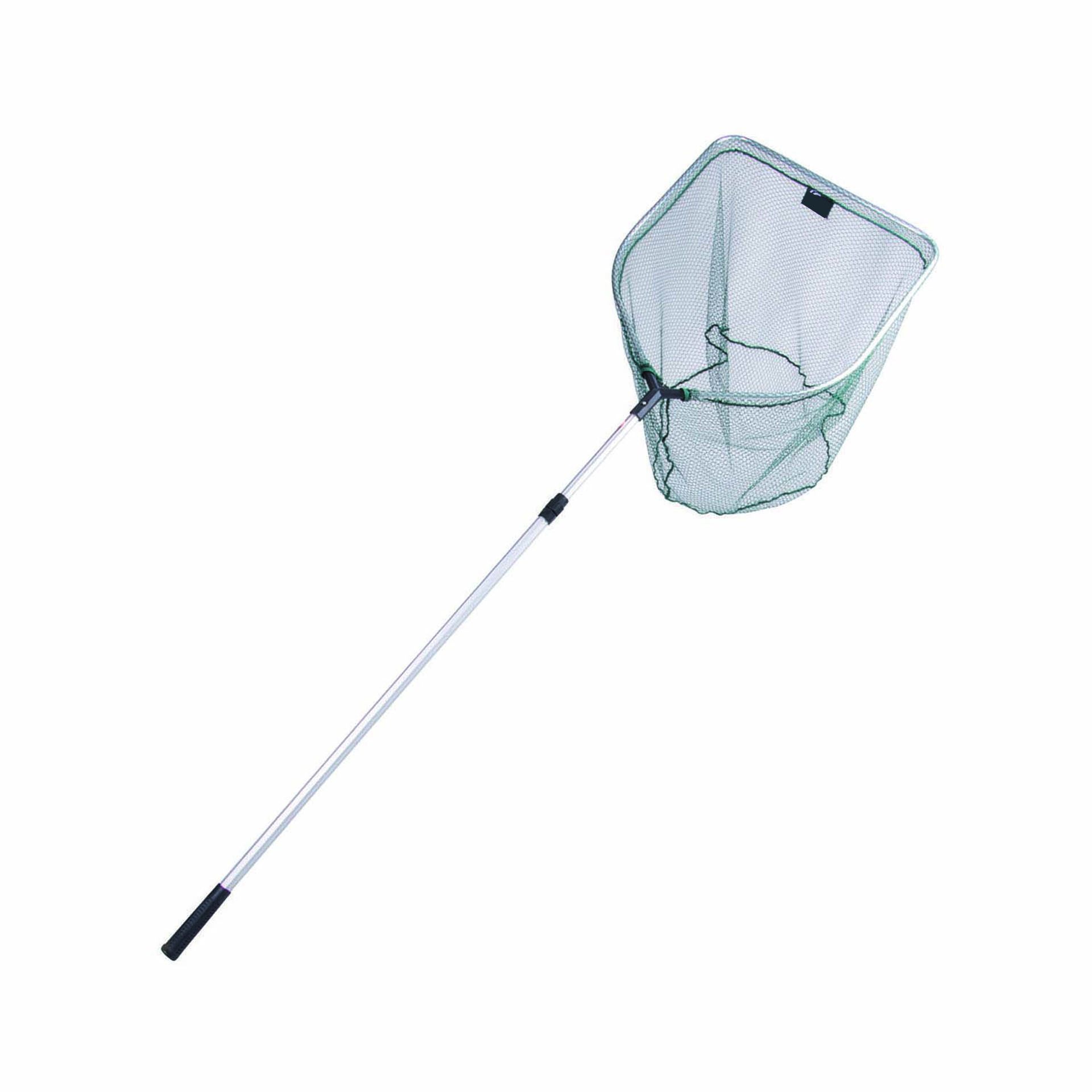 Immagine di EPUISETTE MAXICARPE ECO 2.70M