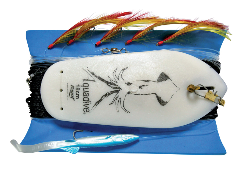 Bild von LEISURE LIGHT TROLLING LINE