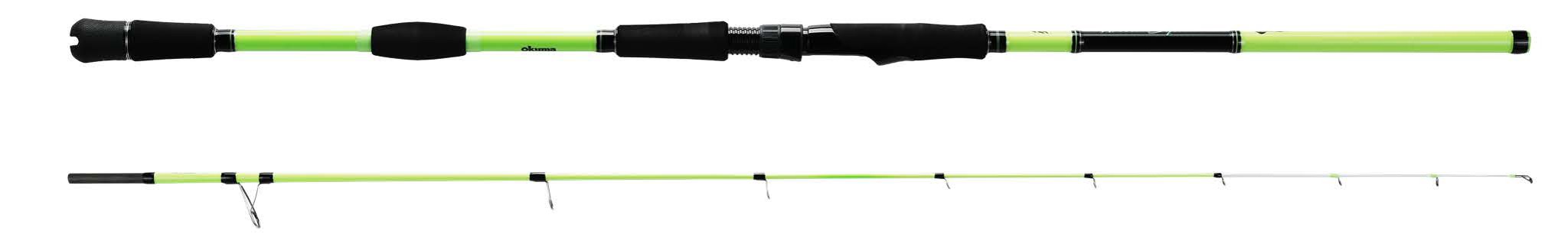 Bild von WILD SQUID CAST 8'0'' 100-250G