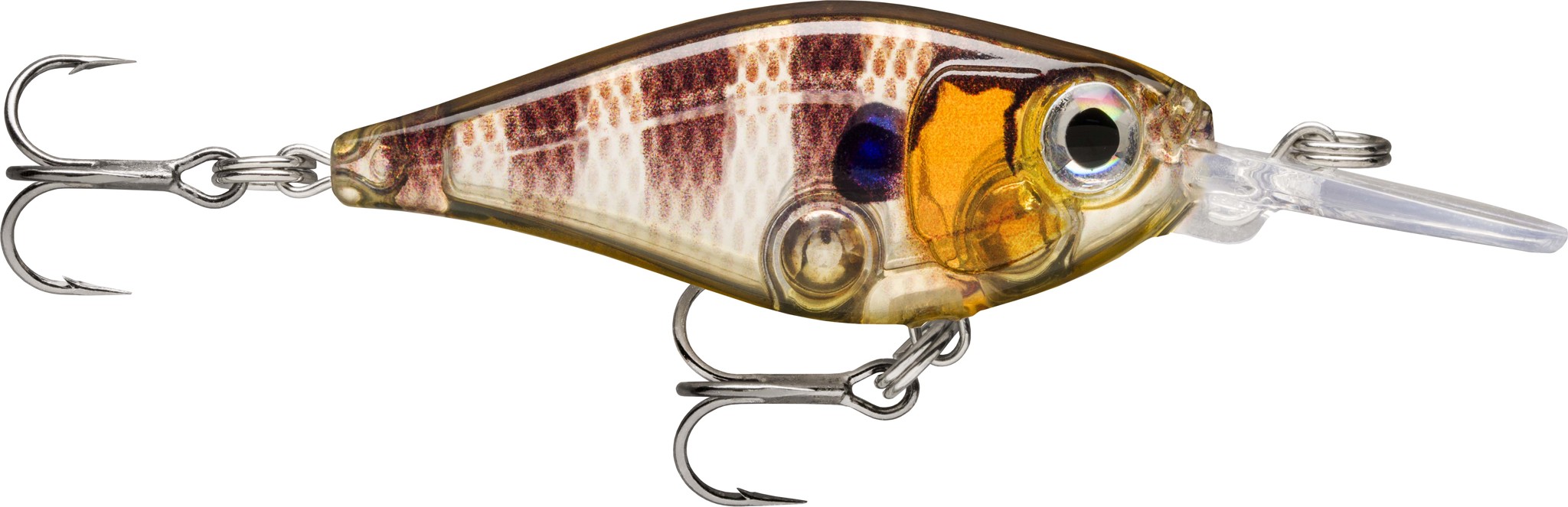 Bild von X-LIGHT SHAD 04 GGIU