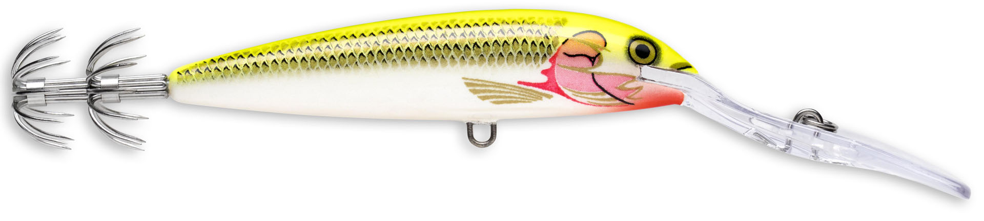 Bild von SQUID DEEP DSQ09 SFC-