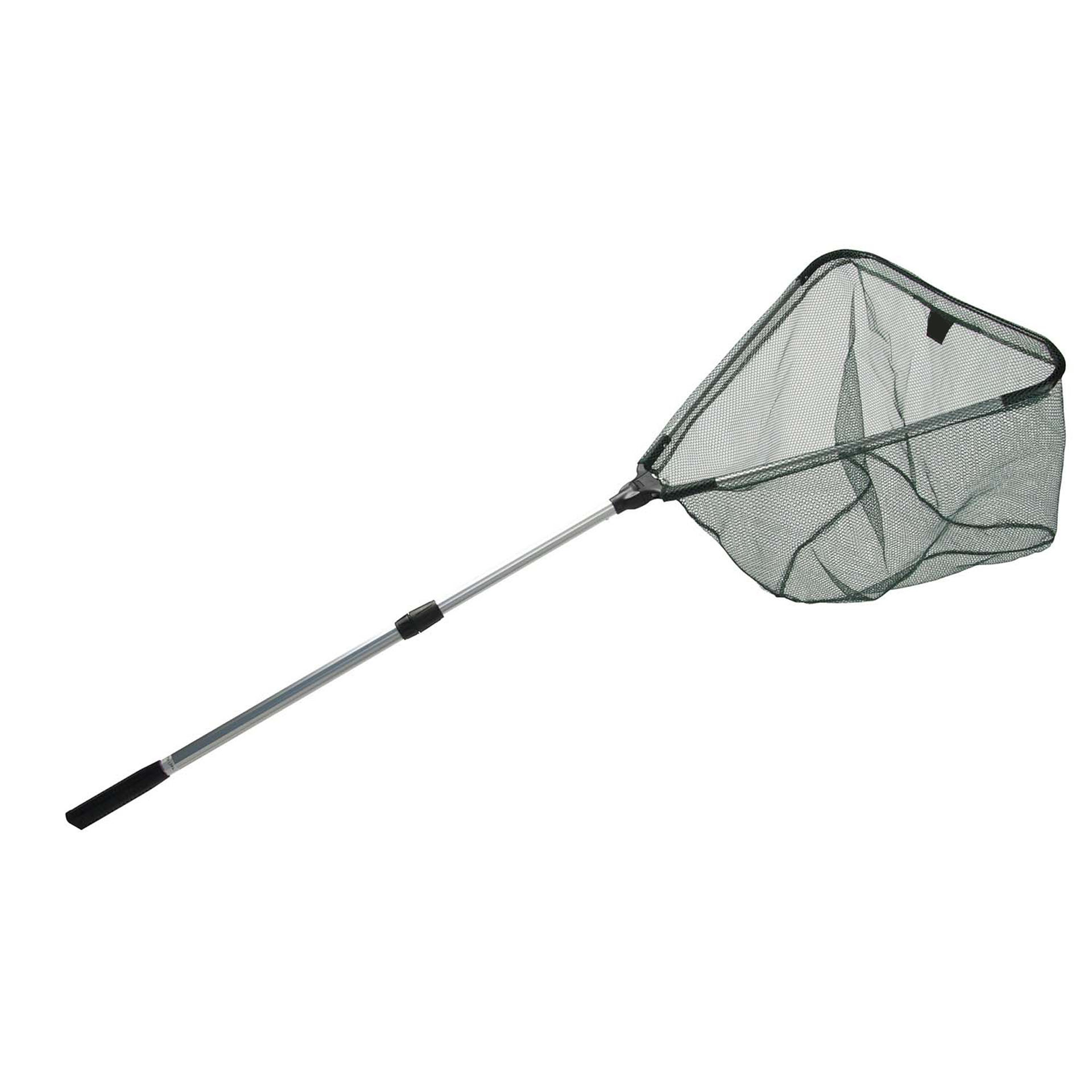 Immagine di EPUISETTE ALFELD 2.10M