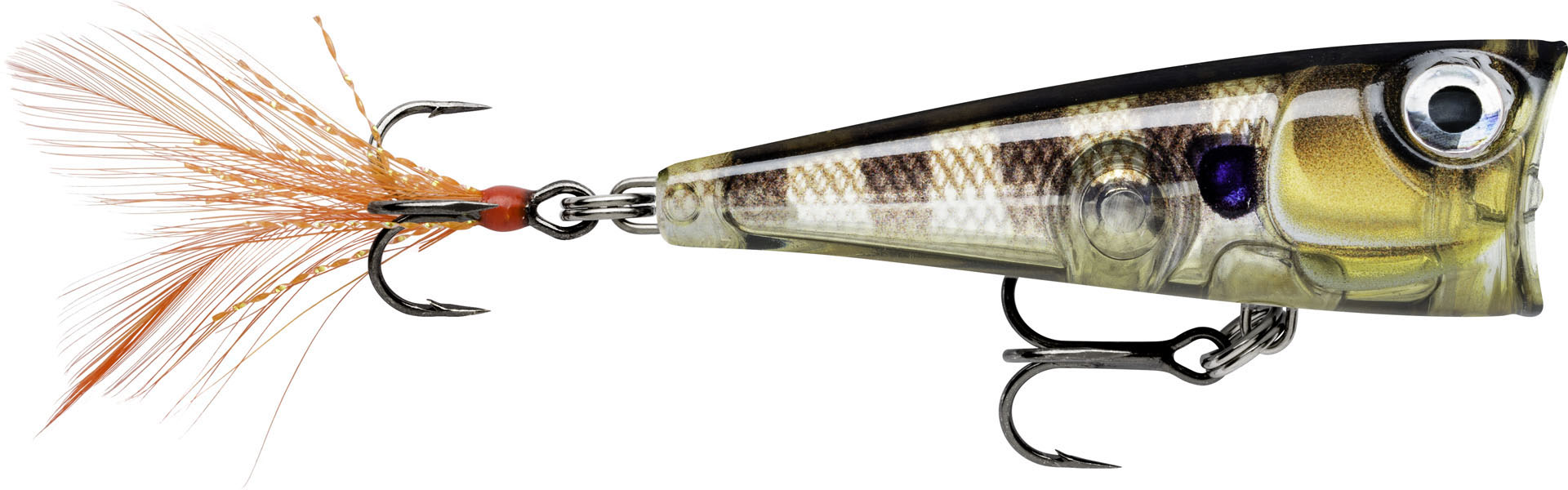 Bild von X-LIGHT POP FNP04 GGIU