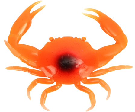 Bild von CRAB S ORANGE X 1