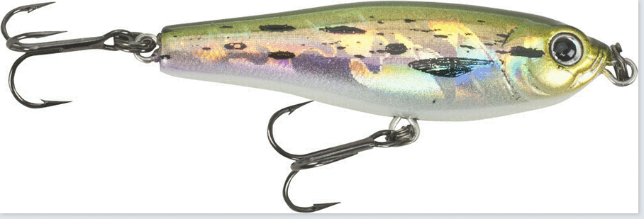 Bild von IRON CLAW APACE JB 36S/40S BB