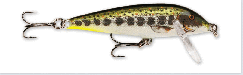 Bild von RAPALA COUNTDOWN MD