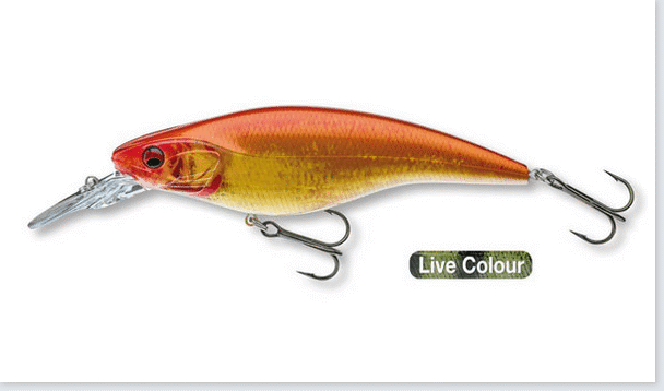 Image de DAIWA PROREX FLAT BAIT MR LIVE ORANGE BLEAK