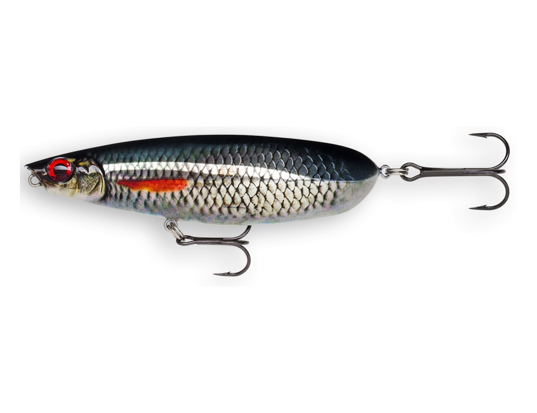 Immagine di RAPALA X-RAP SCOOP LIVE ROACH