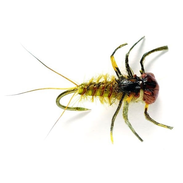 Bild von NYMPHEN MARCH BROWN  (OE) BARBLESS