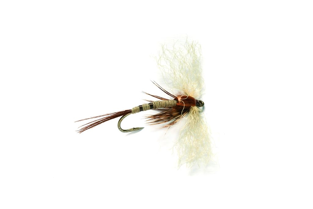 Bild von TROCKENFLIEGE SPENT MAYFLY