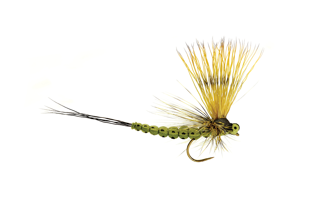 Bild von TROCKENFLIEGE MOHICAN MAYFLY OLIVE BARBLESS
