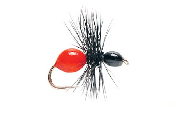 Bild von TROCKENFLIEGE HARD BODY ANT
