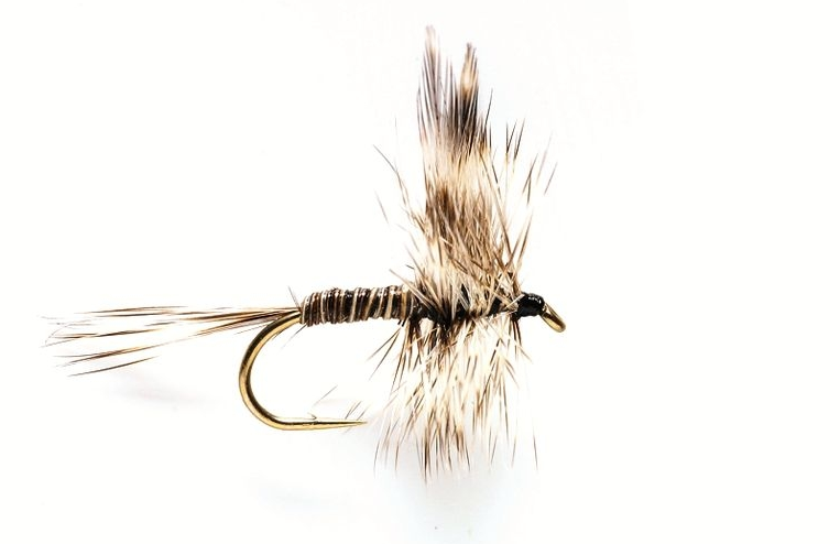 Bild von TROCKENFLIEGE MOSQUITO