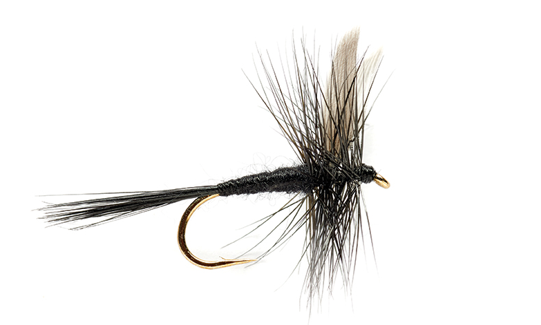 Bild von TROCKENFLIEGE BLACK GNAT