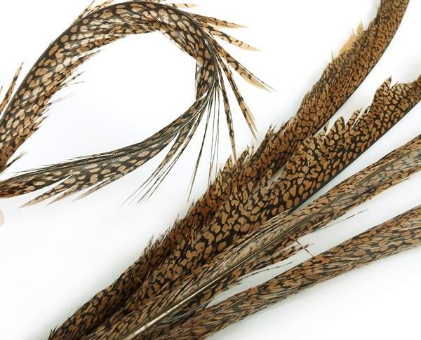 Bild von FTS PHEASANT TAIL - GOLDEN PHEASANT