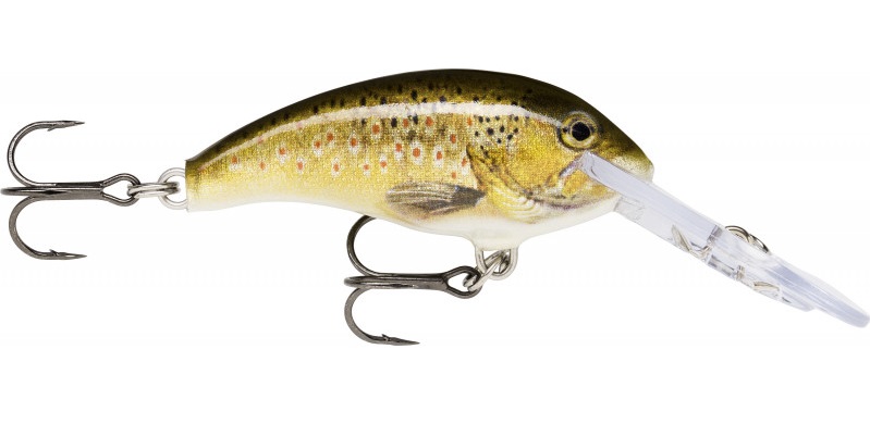 Bild von RAPALA SHAD DANCER TRL