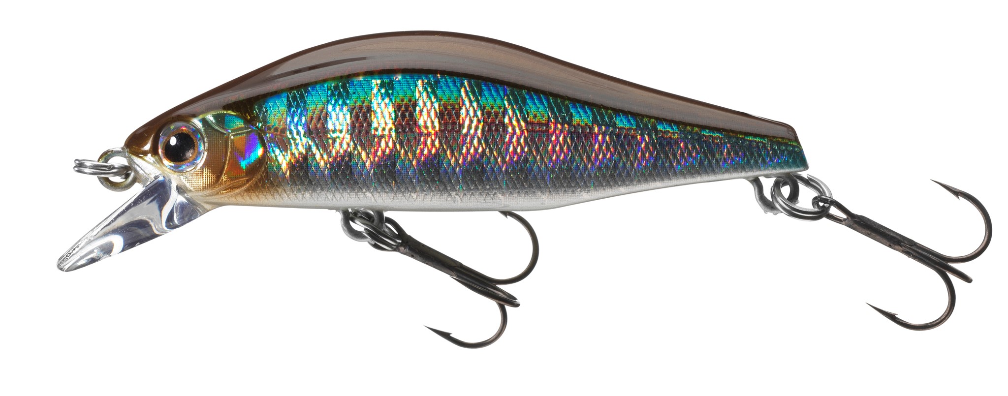 Bild von DAIWA TOURNAMENT WISE MINNOW 50FS KIBINAGO
