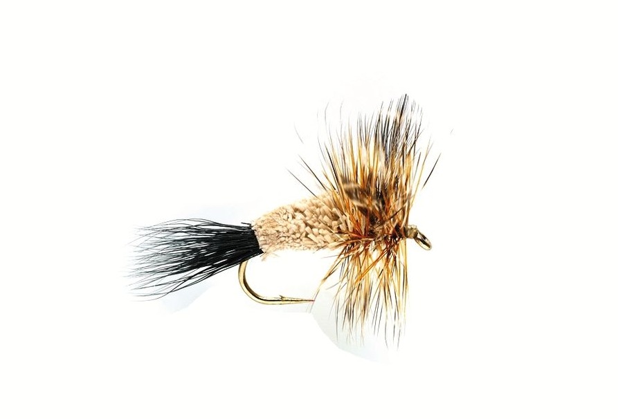 Bild von TROCKENFLIEGE IRRESTISTIBLE ADAMS
