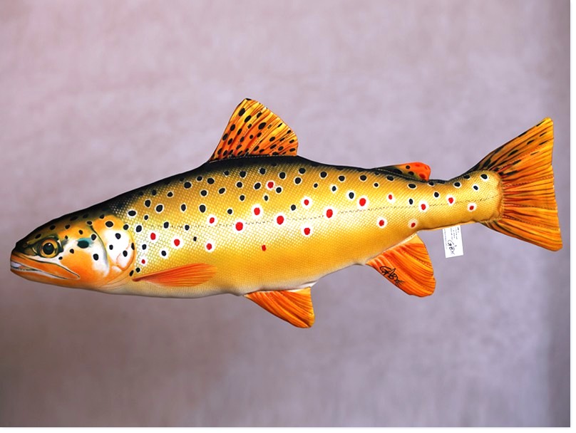 Bild von STOFF-FISCH BACHFORELLE 60cm
