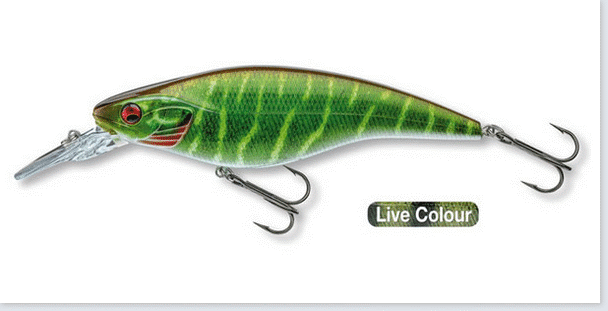 Bild von DAIWA PROREX FLAT BAIT MR LIVE PIKE