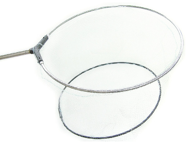 Bild von FELCHENFEUMER TELE