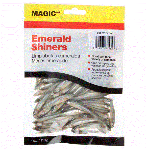 Bild von MAGIC EMERALD SHINERS LARGE