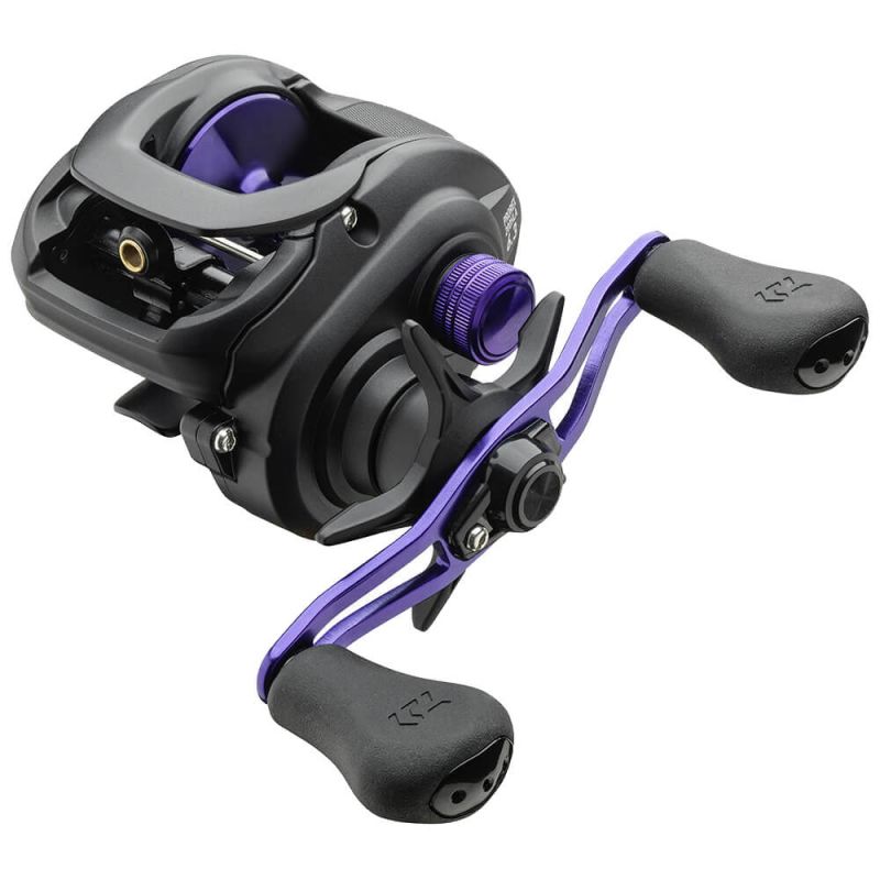 Bild von DAIWA PROREX BAITCAST